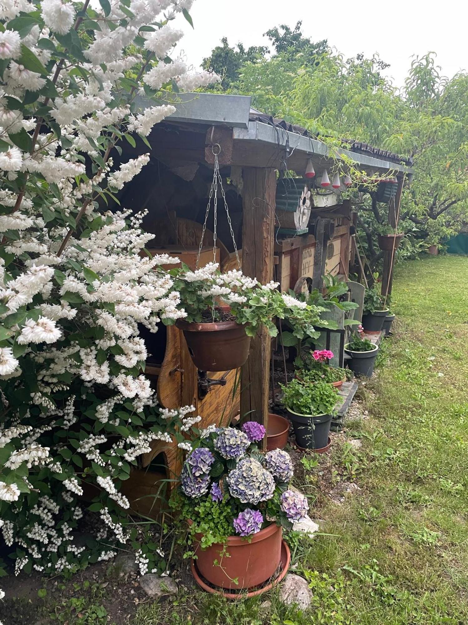 Отель Na Upati Palavy Горни-Вестонице Экстерьер фото